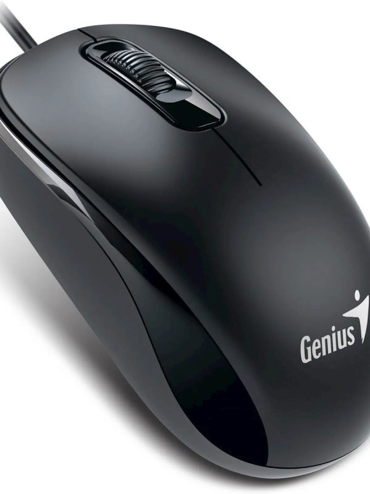 Miška Genius DX-110 USB črna