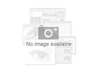 MS ESD Visio Pro 2024 All Languages