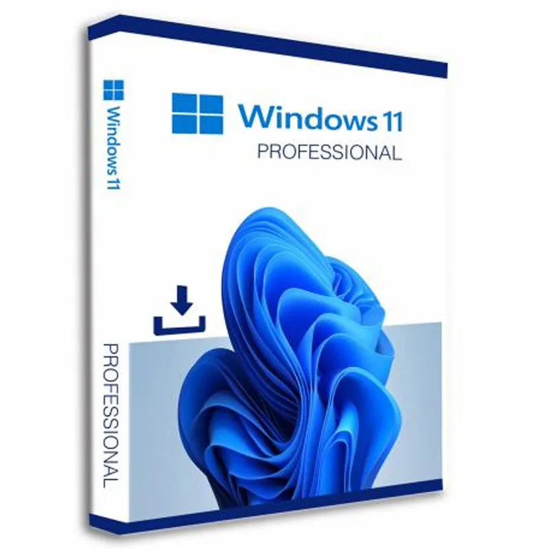 Microsoft Windows 11 Professional 64bit DSP angleški