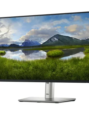 DELL P2425HE 23.8inch 60.5cm USB-C Hub